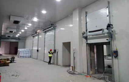 주문 젤리화 된 강철 구간 차고 문 RAL9006 색상 낮은 유지 보수 online manufacture